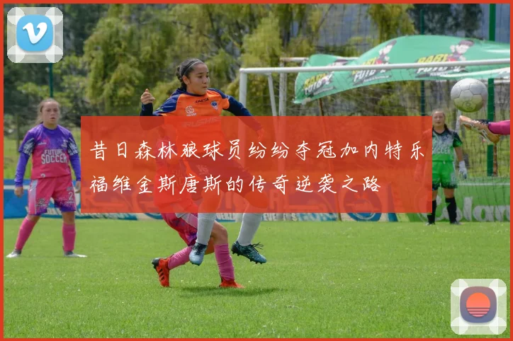 昔日森林狼球员纷纷夺冠加内特乐福维金斯唐斯的传奇逆袭之路