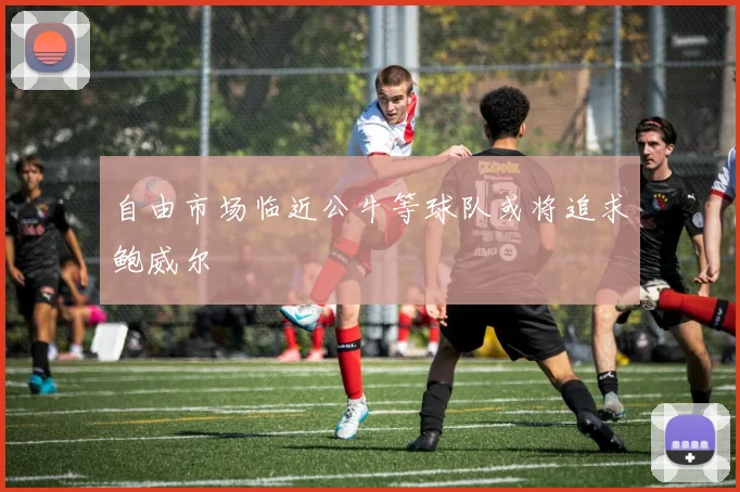 自由市场临近公牛等球队或将追求鲍威尔